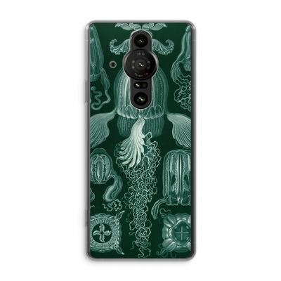 Haeckel Cubomedusae: Sony Xperia Pro-I Transparant Hoesje