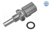 Temperatuursensor 33148210002