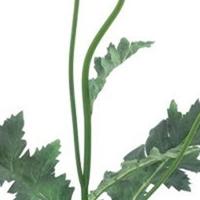 Poppy spray Casper lavender 93 cm kunstbloem Erutan Avon - Erutan avon