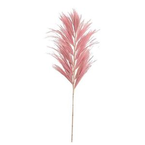 Droogbloemen Grass plume - oudroze - 118 cm - Leen Bakker