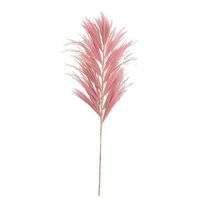 Droogbloemen Grass plume - oudroze - 118 cm - Leen Bakker - thumbnail