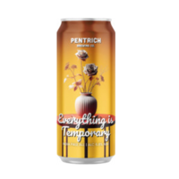 Pentrich Brewing Everything is Temporary 44cl