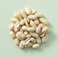 pinda's ongebrand 22,68 kg doos pinda's ongebrand 22,68 kg doos