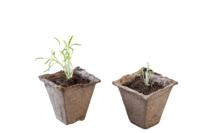 Turfpot H6x6x6cm set a 16 stuks - Nature
