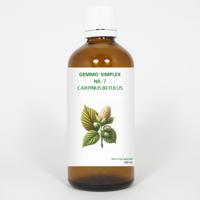 Balancepharma Gemmo simplex 7 carpinus betulus 100 Milliliter