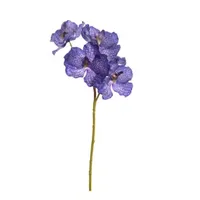 Vanda orchideebundel x5 l62cm blauw