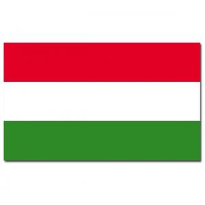 Vlag van Hongarije - 90 x 150 cm - feestartikelen - landen thema - supporters - versiering