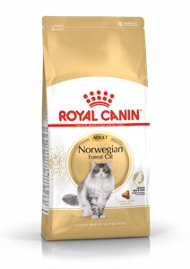 Royal Canin Norwegian Forest Cat Adult droogvoer voor kat 10 kg Volwassen Gevogelte