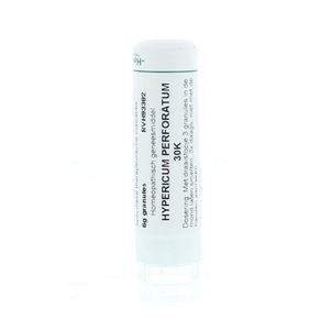 Hypericum perforatum 30K