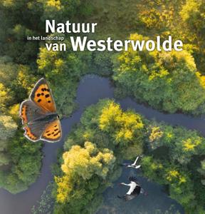 Natuur in het landschap van Westerwolde (Hardback)