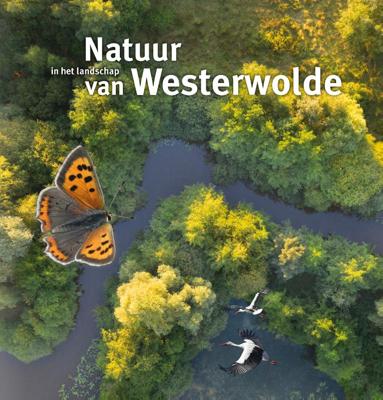 Natuur in het landschap van Westerwolde (Hardback)