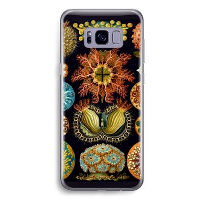 Haeckel Ascidiae: Samsung Galaxy S8 Plus Transparant Hoesje