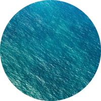 Noordwand Komar Dots Behangcirkel Calm - D1-083