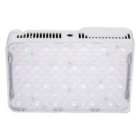 amaran Ace 25c White