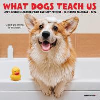 What Dogs Teach Us Kalender 2026 Mini