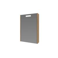 Spiegelkast BWS Salt 1 Deur Met LED 60x50 cm Incl. Planchetten Whisky Oak