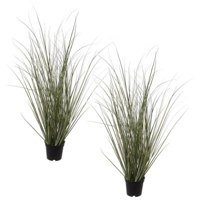 Louis Maes Pennisetum siergras - Set van 2x stuks - realistisch - zwarte pot - 50 cm