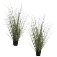 Louis Maes Pennisetum siergras - Set van 2x stuks - realistisch - zwarte pot - 50 cm