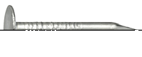 Connex Schalienagel 1.6X16 150G Vz - KY1081616 Connex Schalienagel 1.6X16 150G Vz - KY1081616