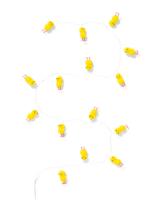 HEMA Lichtsnoer met 15 lichtgevende kuikens