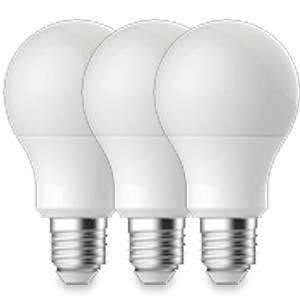 Energetic LED GLS E27 13,3-100W 2700K mat doos a3 - 2740044