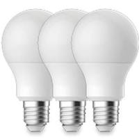 Energetic LED GLS E27 13,3-100W 2700K mat doos a3 - 2740044