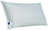 Good Morning Hoofdkussen, 100% eendenveren - 40x80 cm