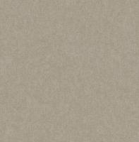 Dutch Wallcoverings Sauvage Uni - Lichtbruin