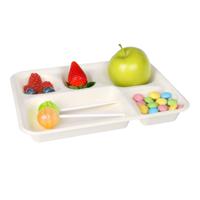Wegwerp vakjes borden - 25x stuks - 22 x 28 x 2 cm - suikerriet - biologisch afbreekbaar