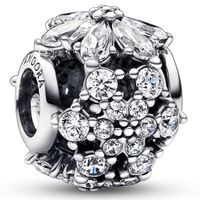 Pandora 792383C01 Bedel Sparkling Herbarium Cluster Round zilver-zirconia wit - thumbnail