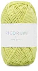 Rico Ricorumi dk 46 Light Green