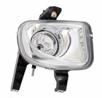 Mistlamp rechts 190555052