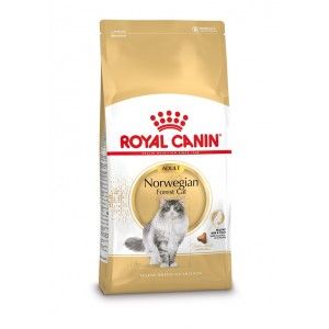 Royal Canin Norwegian Forest Cat Adult droogvoer voor kat Volwassene Gevogelte 10 kg