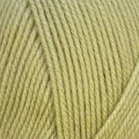 Stylecraft special DK 2173 Mushy Peas