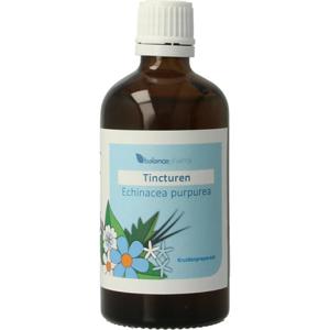 Balance Pharma Echinacea purpurea L. tincturen