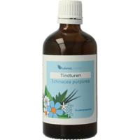 Balance Pharma Echinacea purpurea L. tincturen Balance Pharma Echinacea purpurea L. tincturen