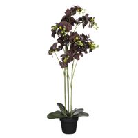 Mica Decorations Orchidee bloem kunstplant - zwart - H90 x B30 cm   -