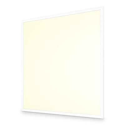 LED Paneel - 60x60 cm - 36 Watt - 4860lm (135lm/W) - 6500K daglicht wit - 1-10V Dimbaar - Flikkervrij - UGR22 - 5 jaar garantie