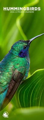 Kolibries Slimline Kalender 2026