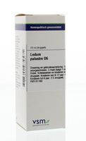 Ledum palustre D6