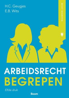 Arbeidsrecht begrepen (Paperback)