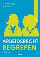 Arbeidsrecht begrepen (Paperback)