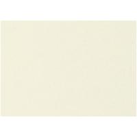 Creativ Company Feestkarton, a4, vel 210x297 mm, 135 gr, off-white, 25 vel/ 1 doos Creativ Company Feestkarton, a4, vel 210x297 mm, 135 gr, off-white, 25 vel/ 1 doos