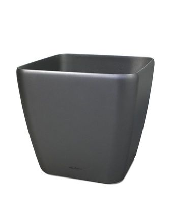 Lechuza Quadro sierpot 28x28x26 cm antraciet
