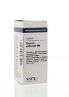 VSM Spigelia anthelmia MK 4 Gram