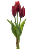 PSO Holland Tulip bundle Sally x3 red 25 cm kunstbloem - Nova nature