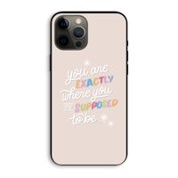 Right Place: iPhone 12 Pro Max Biologisch afbreekbaar hoesje