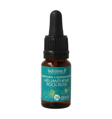 Rock rose bio