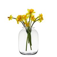 Hakbijl glass bloemenvaas - transparant - 19 x 25 cm - glas - thumbnail