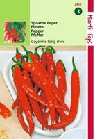 Peper Cayenne, Spaanse Lange Rode - Hortitops